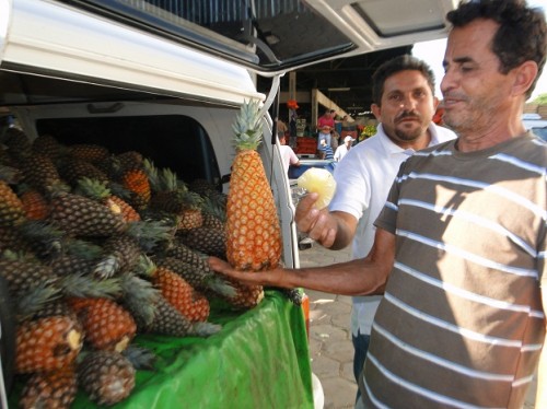 Abacaxi pérola é vendido em Jaguaquara
