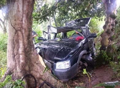 Carro bateu em tronco de árvore. Foto: Giro em Ipiaú