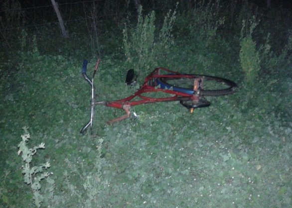 Bicicleta parou num matagal. Foto