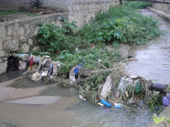 Rio Casca no bairro Lagoa em situação crítica