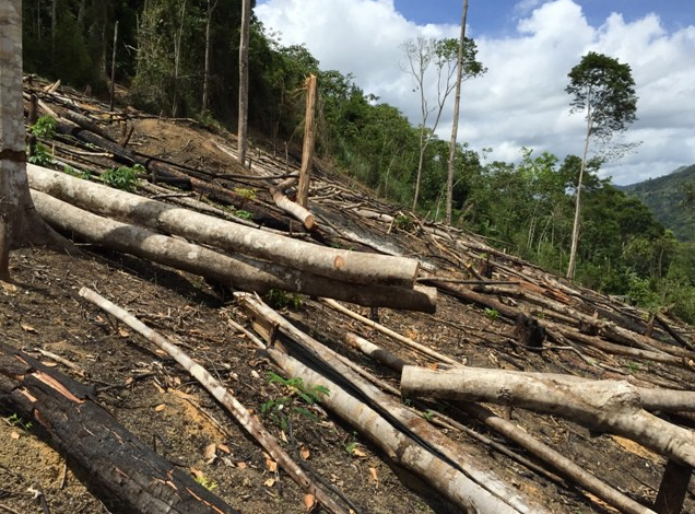 Desmatamento constatado em Jaguaquara. Foto: Ascom Inema