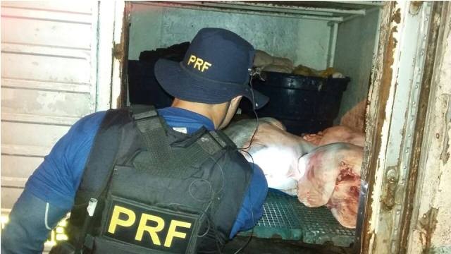 Carne suína era transportada num baú. Foto: PRF