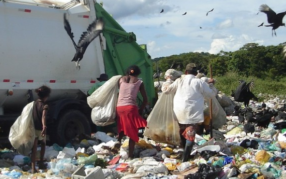 Criança e adultos disputam lixo com urubus em Itabuna Foto: MPT
