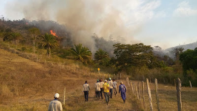 Fazenda Baviera em chamas. Foto: Aiquara Notícias