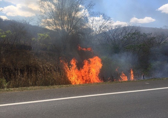 Atearam fogo na margem da estrada. Foto: Marcelo Francisco
