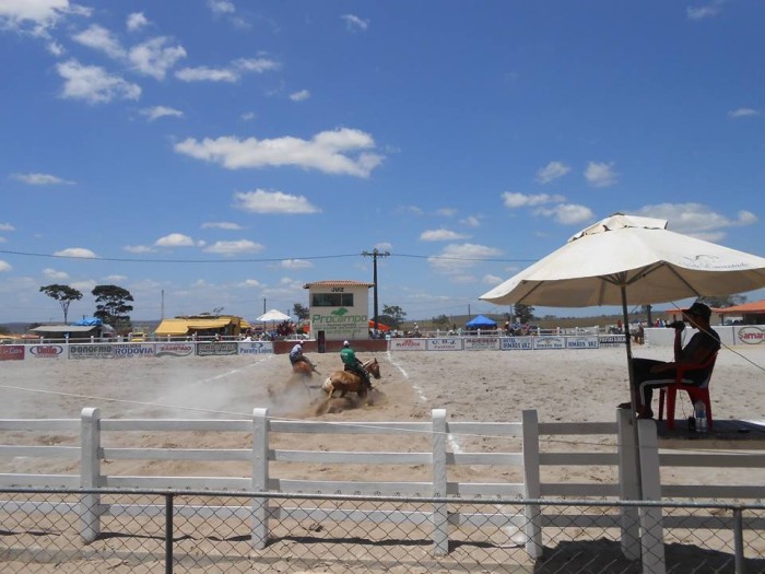 Vaqueiros disputam premiação no Parque Miguel da Hora
