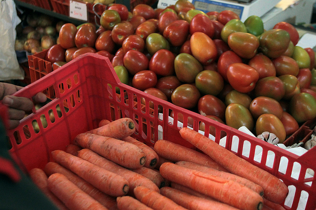 Preço da cenoura melhora na Ceasa. Foto: Blog Marcos Frahm
