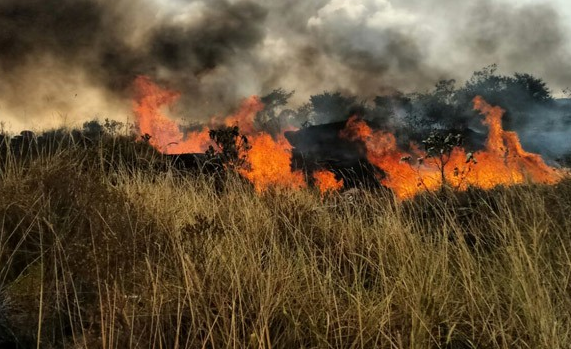 Fogo se alastra. Foto: Brigada de Resgate Ambiental de Lençóis