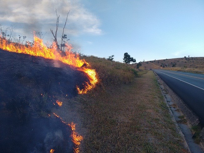 Incêndio começou nesta terça-feira