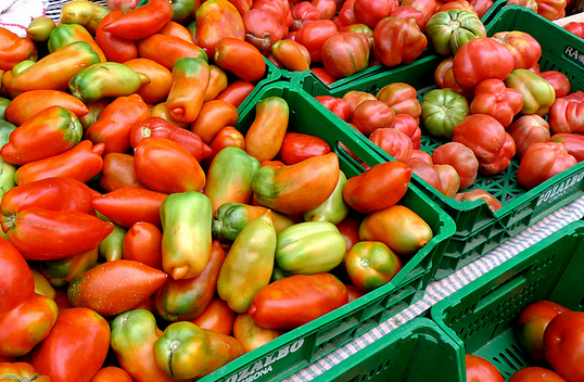Demanda de tomate é grande. Foto: Blog Marcos Frahm