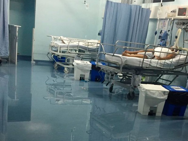 Unidade de Terapia Intensiva (UTI) de hospital foi invadida pela águia (Foto: Uinderlei Guimarães / Sulbahianews