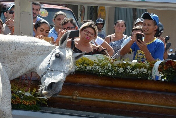 Cavalo se despede do dono. Foto: Kyioshi Abreu/Diário do Sertão